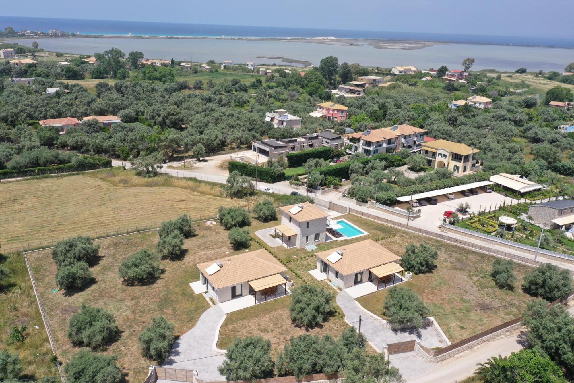Anagallis * Lefkada City